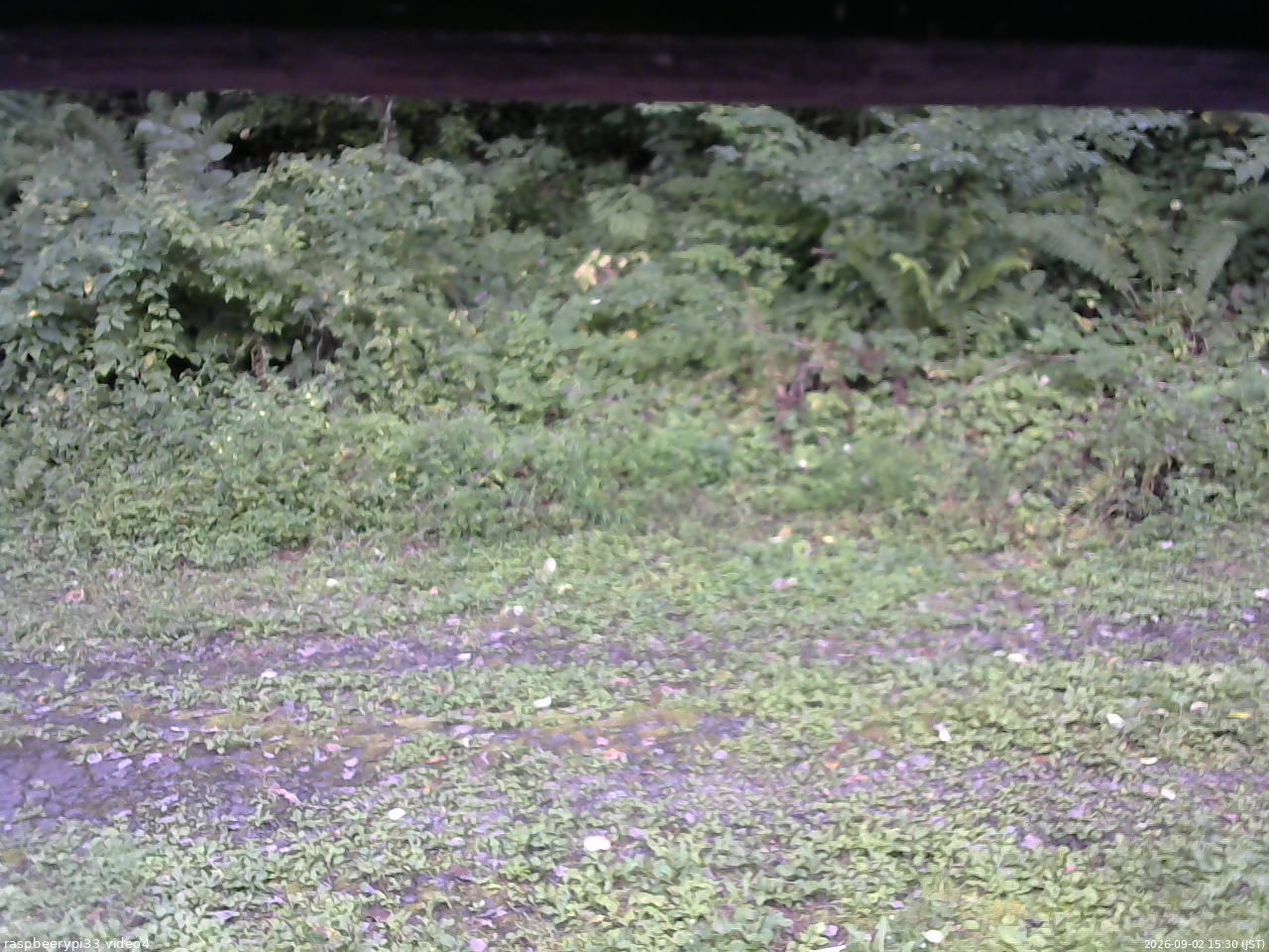 長野県菅平高原 ゆたか山荘 東側(坂下) 2026/09/02 15:30