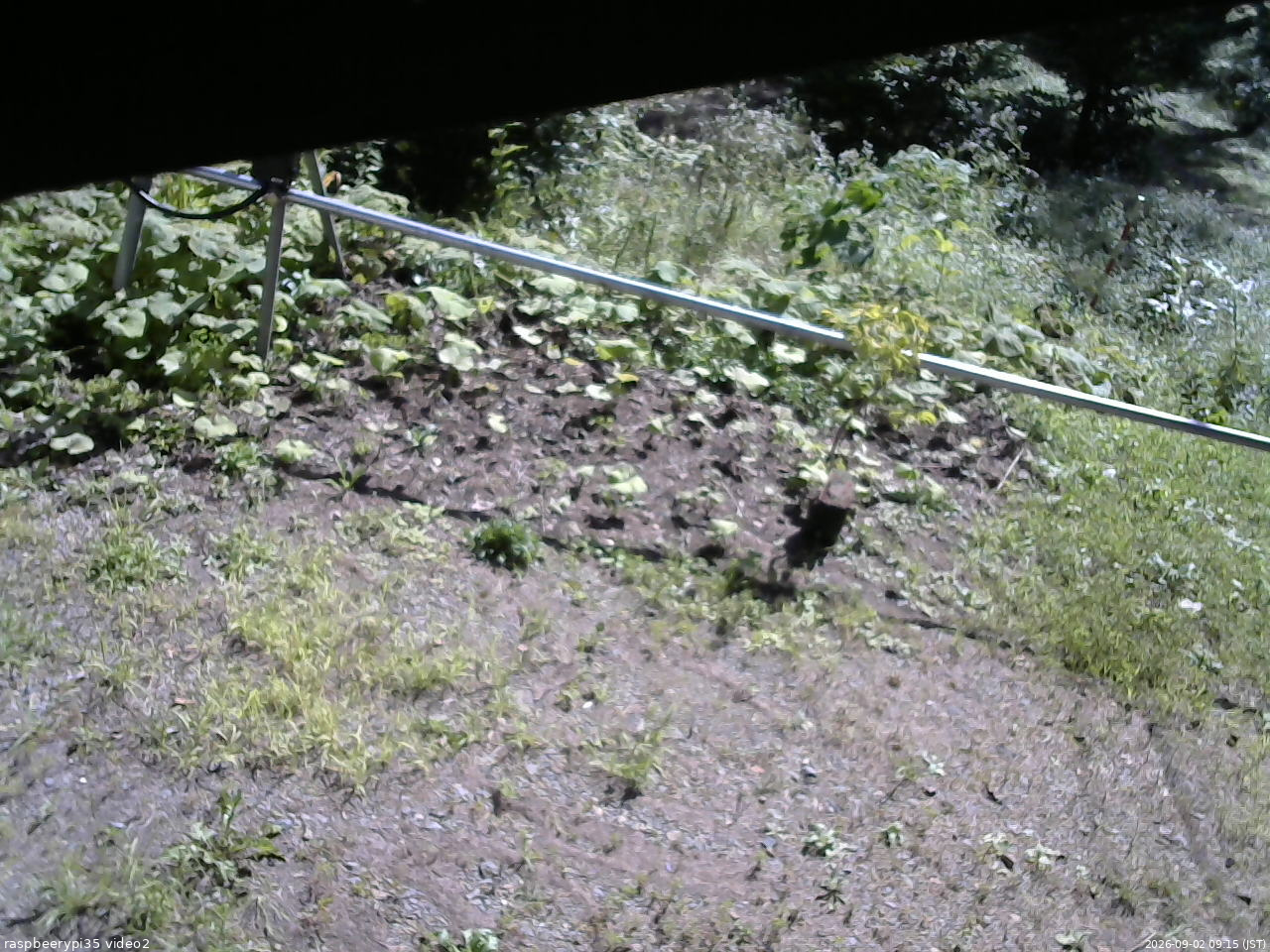 長野県菅平高原 ゆたか山荘 駐車場 2026/09/02 09:15