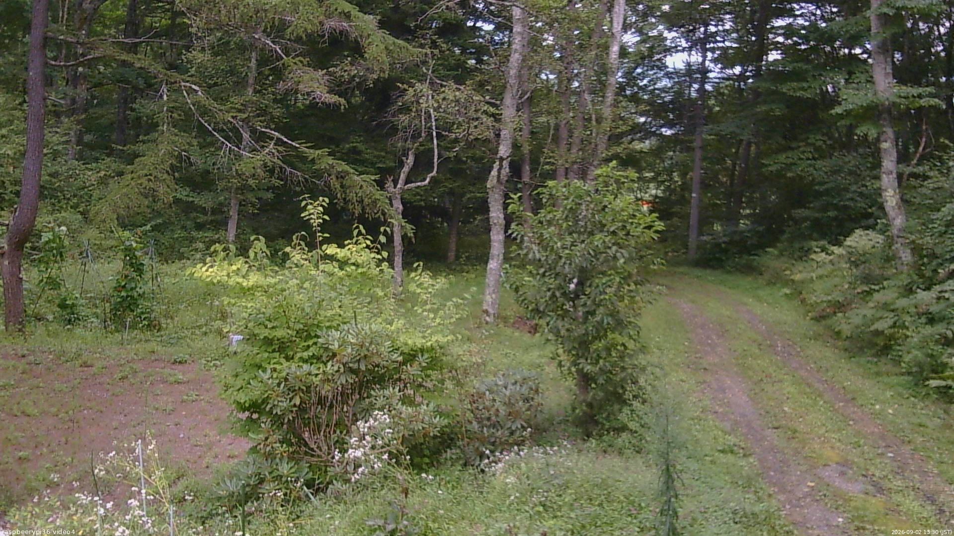 長野県菅平高原 ゆたか山荘 坂上 2026/09/02 13:30