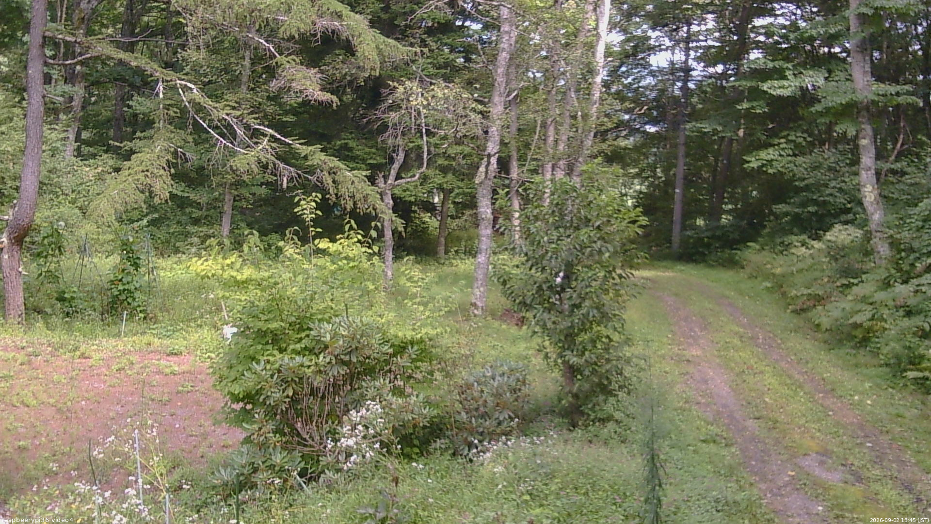 長野県菅平高原 ゆたか山荘 坂上 2026/09/02 13:45