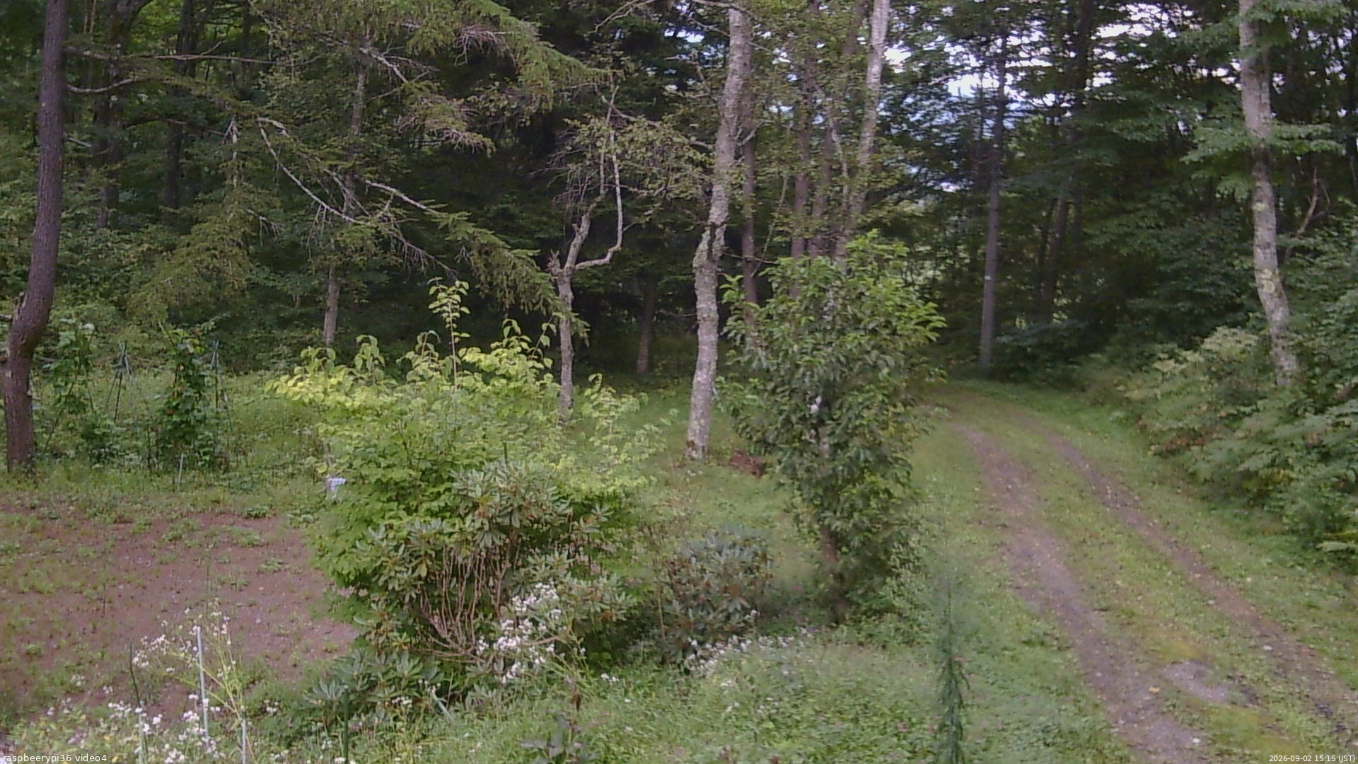 長野県菅平高原 ゆたか山荘 坂上 2026/09/02 15:15
