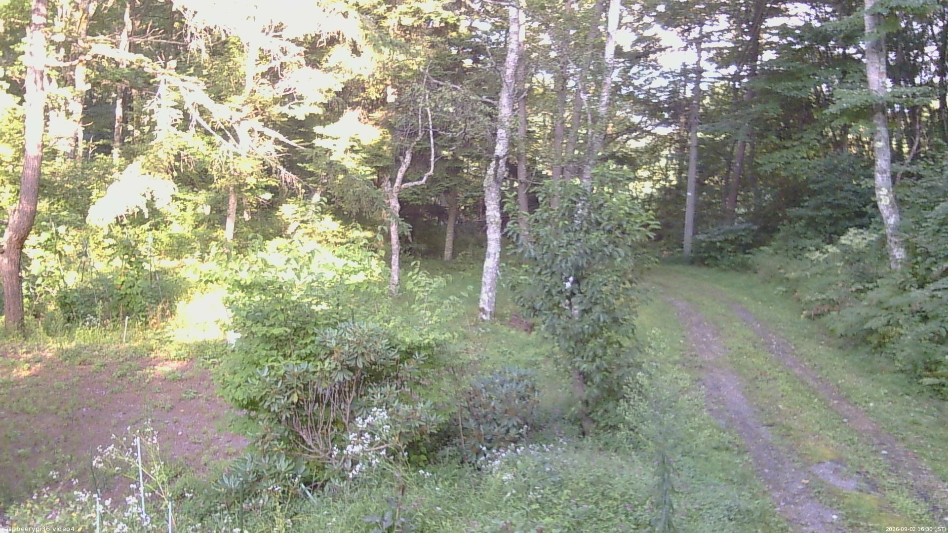 長野県菅平高原 ゆたか山荘 坂上 2026/09/02 16:30