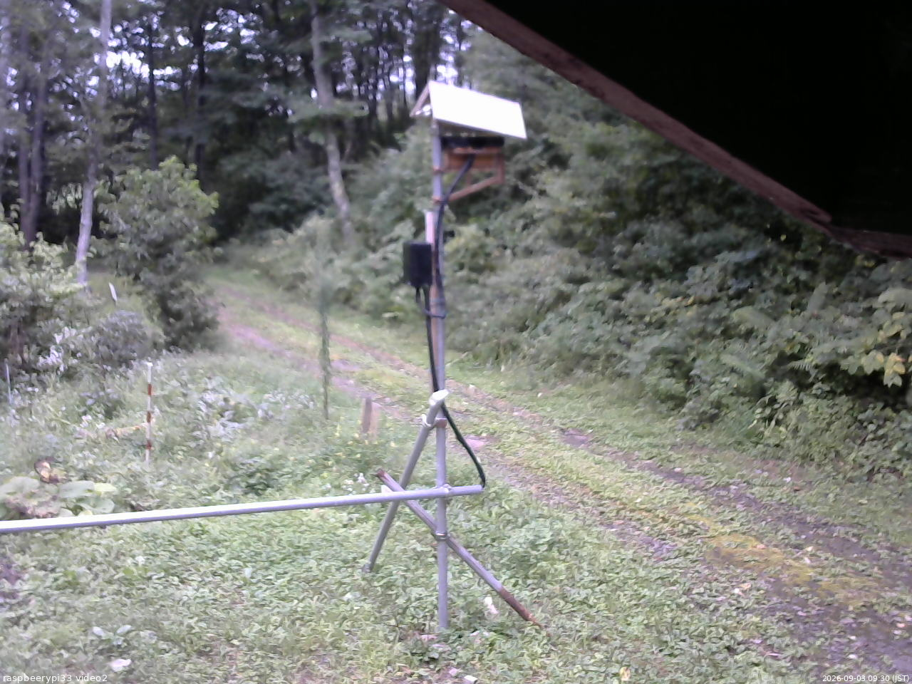 長野県菅平高原 ゆたか山荘 南側 2026/09/03 09:30