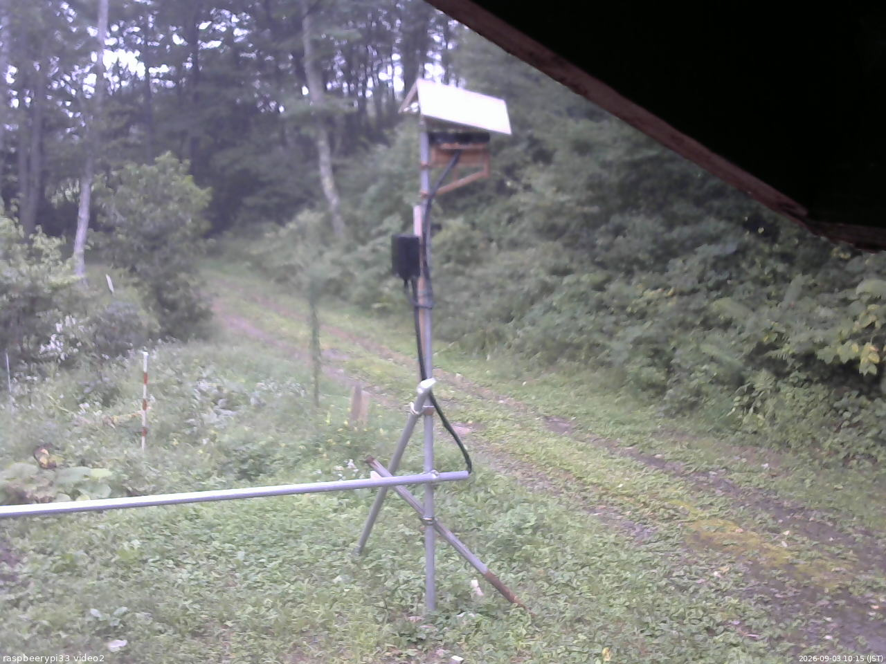 長野県菅平高原 ゆたか山荘 南側 2026/09/03 10:15