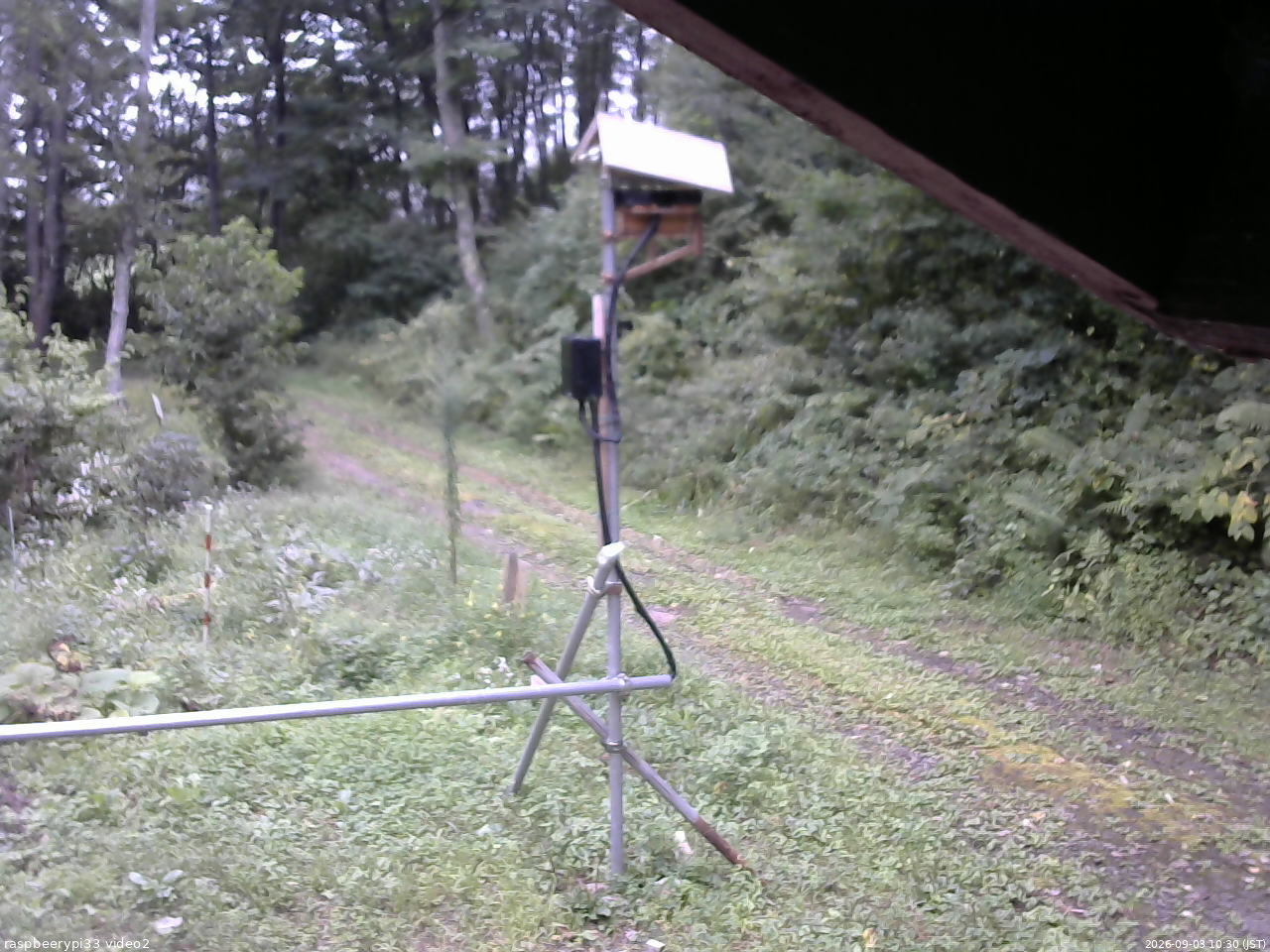 長野県菅平高原 ゆたか山荘 南側 2026/09/03 10:30