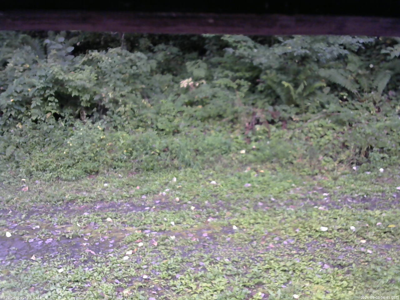 長野県菅平高原 ゆたか山荘 東側(坂下) 2026/09/03 06:45