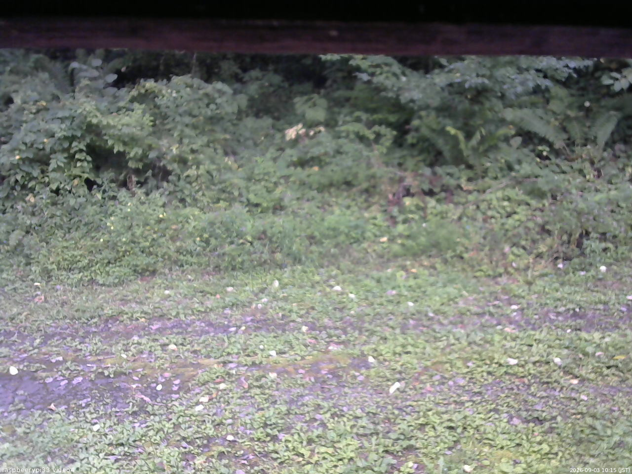 長野県菅平高原 ゆたか山荘 東側(坂下) 2026/09/03 10:15