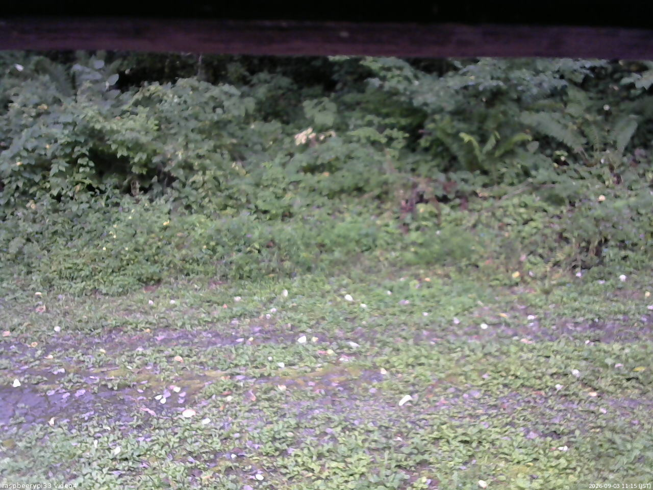 長野県菅平高原 ゆたか山荘 東側(坂下) 2026/09/03 11:15