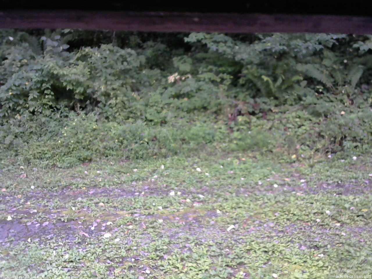 長野県菅平高原 ゆたか山荘 東側(坂下) 2026/09/03 11:45