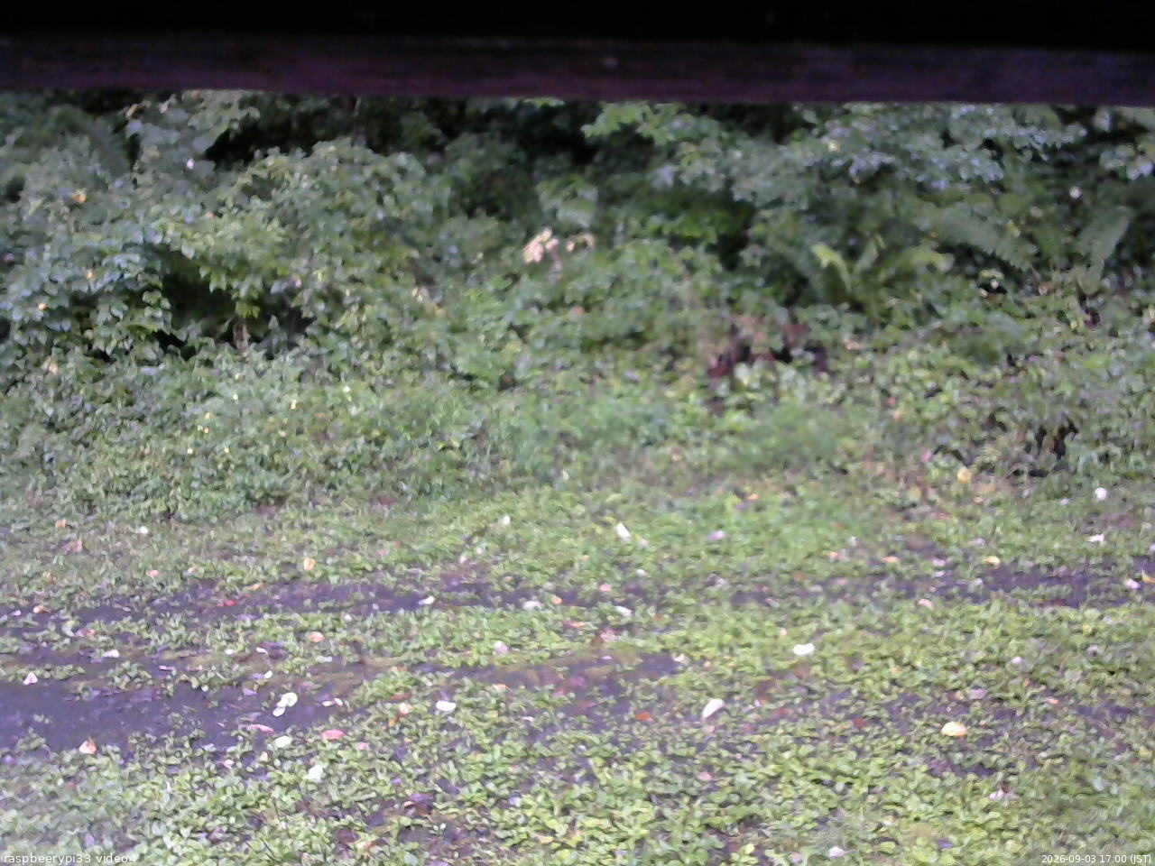 長野県菅平高原 ゆたか山荘 東側(坂下) 2026/09/03 17:00