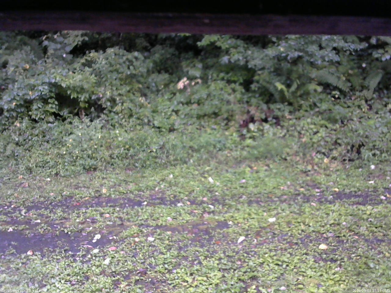 長野県菅平高原 ゆたか山荘 東側(坂下) 2026/09/03 17:15