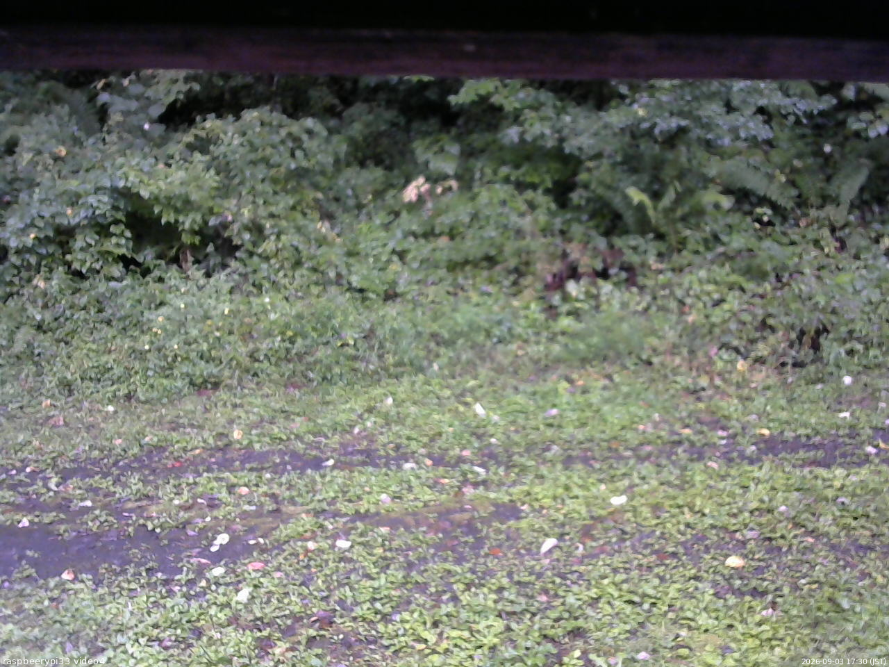 長野県菅平高原 ゆたか山荘 東側(坂下) 2026/09/03 17:30