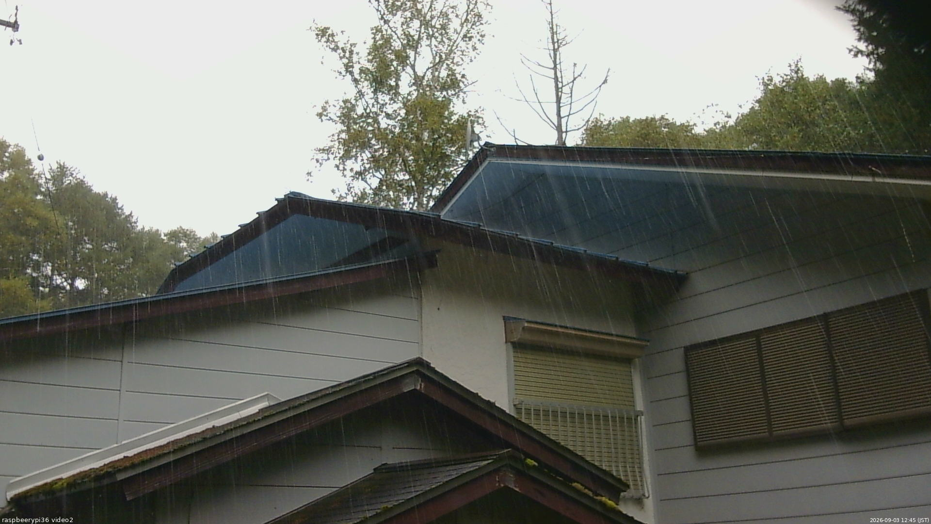 長野県菅平高原 ゆたか山荘 駐車場奥 2026/09/03 12:45