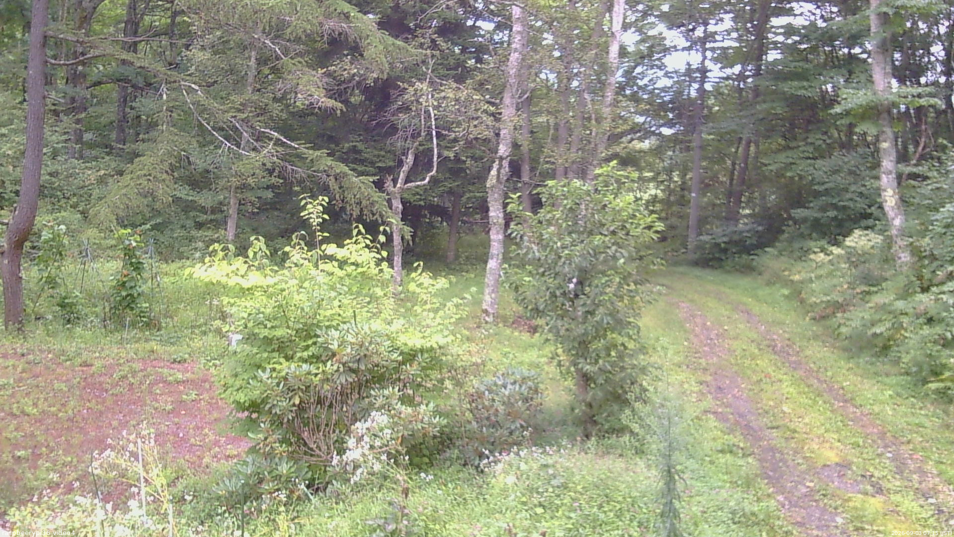 長野県菅平高原 ゆたか山荘 坂上 2026/09/03 07:15