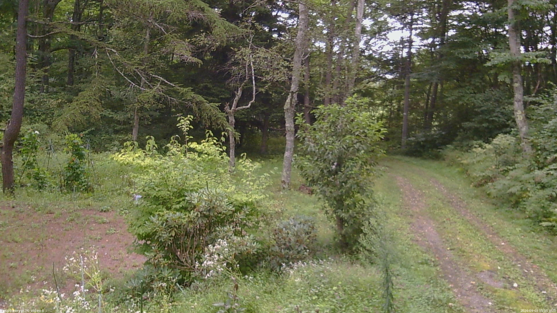長野県菅平高原 ゆたか山荘 坂上 2026/09/03 11:15