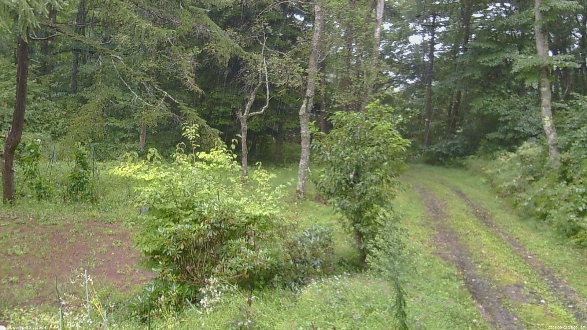 長野県菅平高原 ゆたか山荘 坂上 2026/09/03 13:00