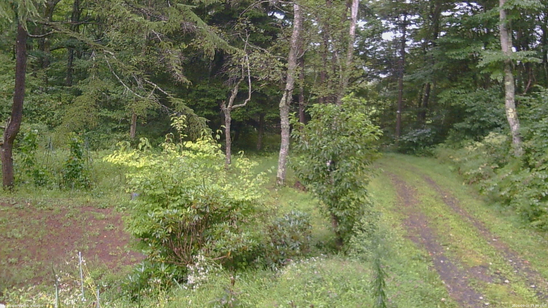 長野県菅平高原 ゆたか山荘 坂上 2026/09/03 13:30