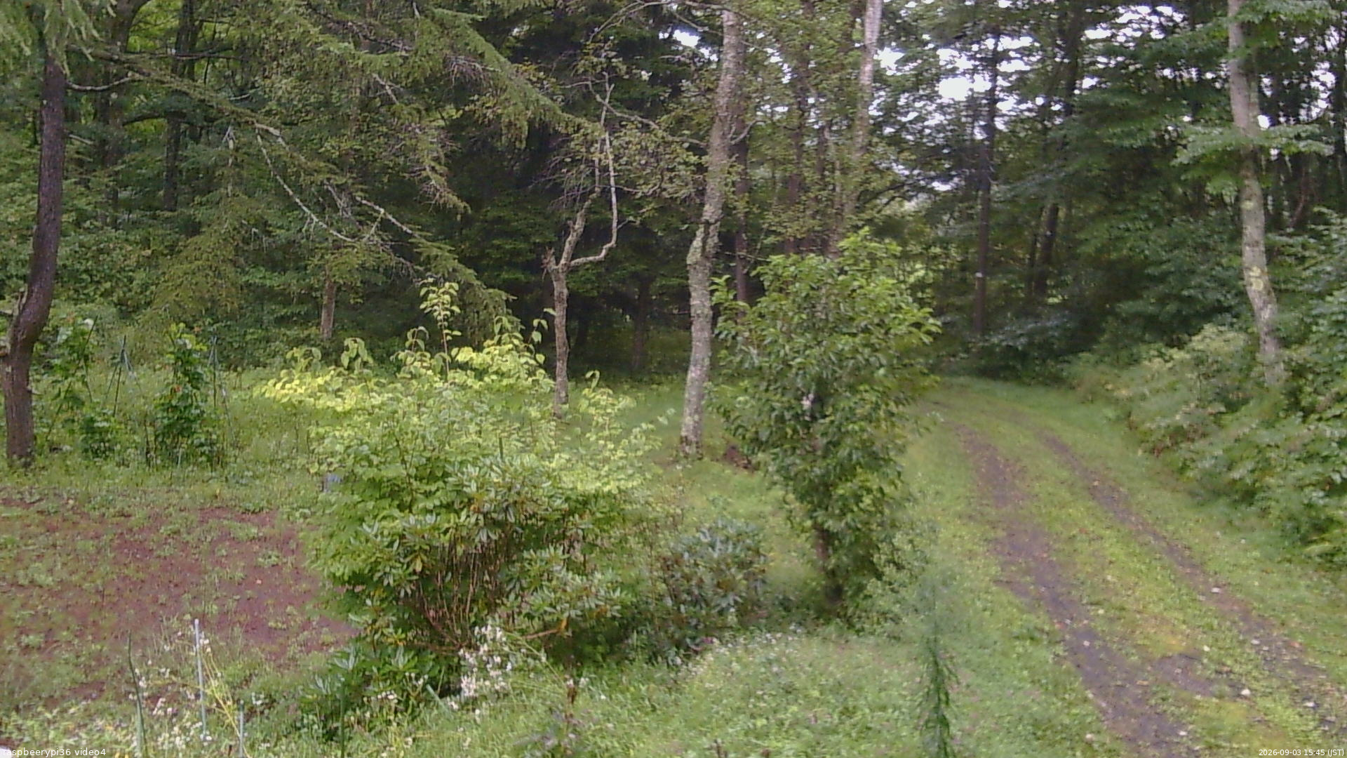 長野県菅平高原 ゆたか山荘 坂上 2026/09/03 15:45