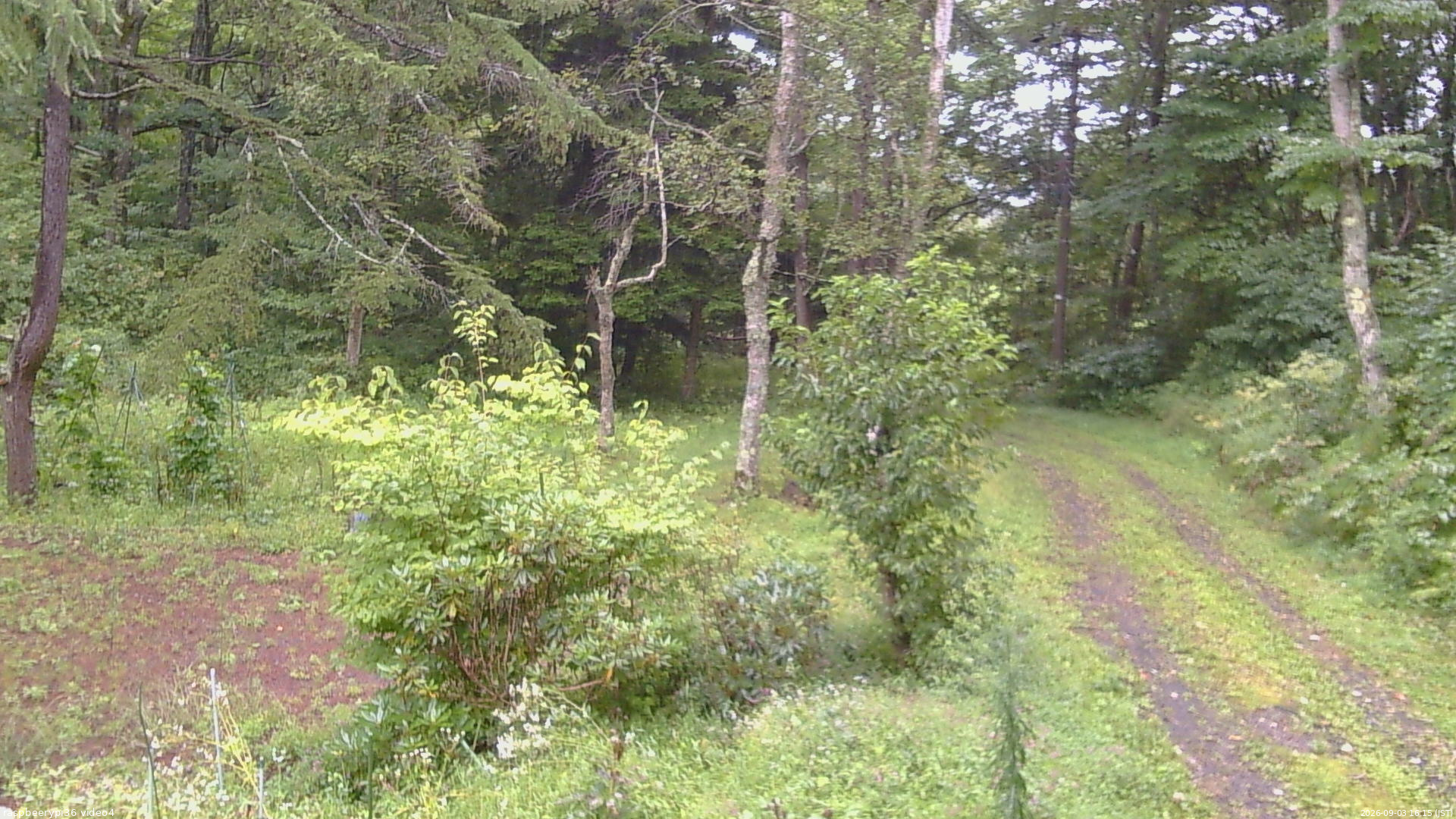 長野県菅平高原 ゆたか山荘 坂上 2026/09/03 16:15