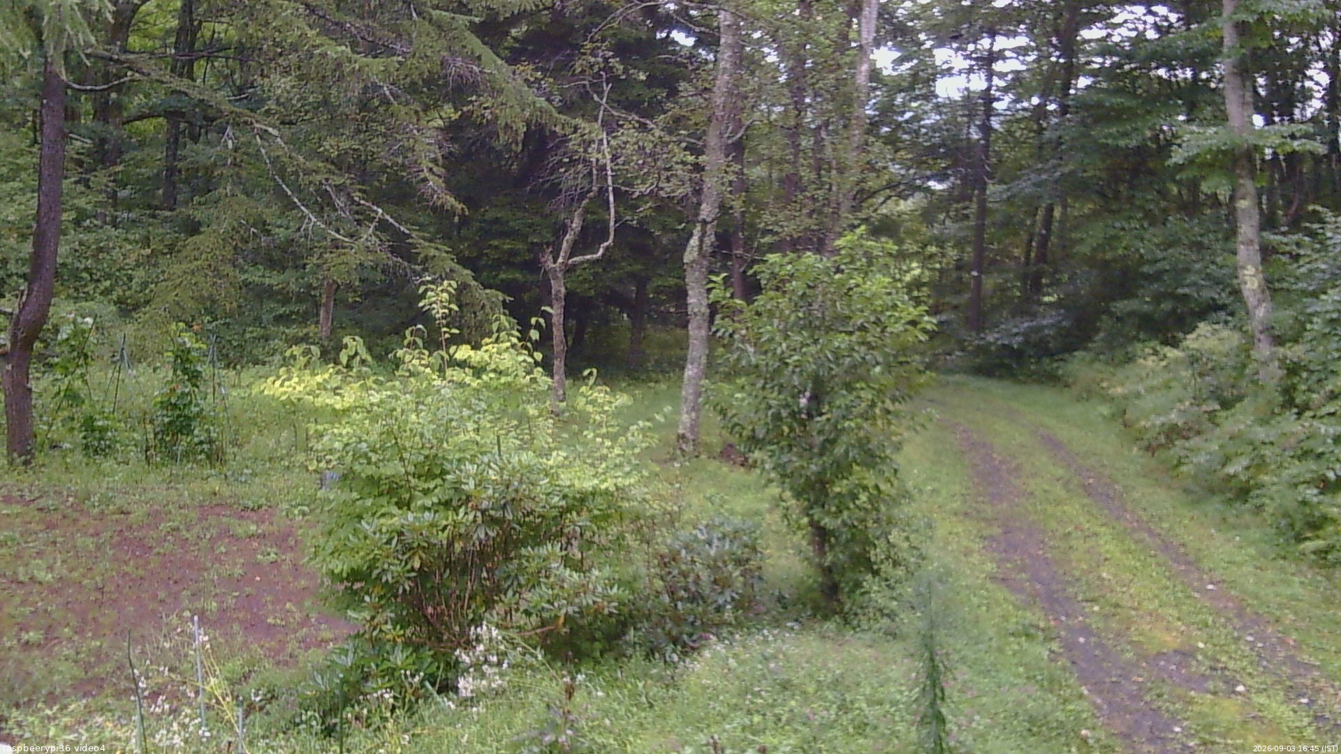 長野県菅平高原 ゆたか山荘 坂上 2026/09/03 16:45