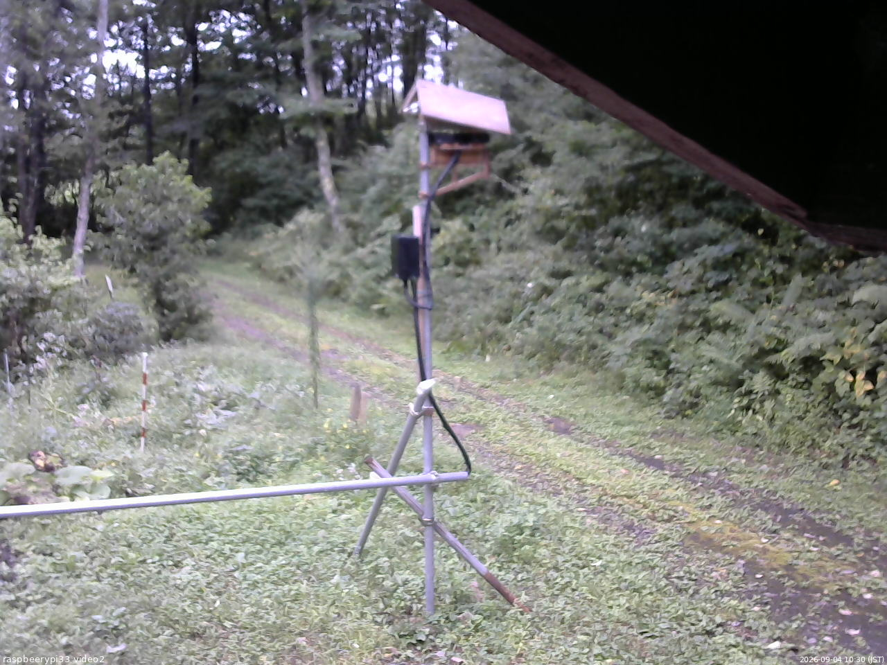 長野県菅平高原 ゆたか山荘 南側 2026/09/04 10:30
