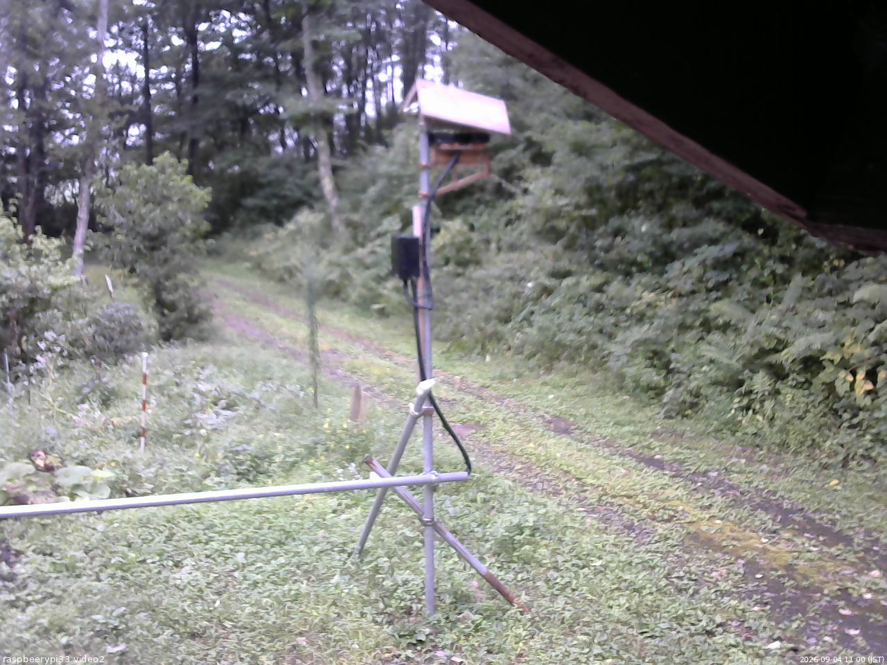 長野県菅平高原 ゆたか山荘 南側 2026/09/04 11:00