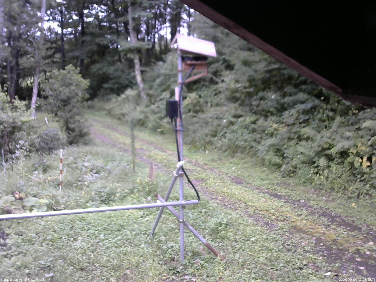 長野県菅平高原 ゆたか山荘 南側 2026/09/04 11:15