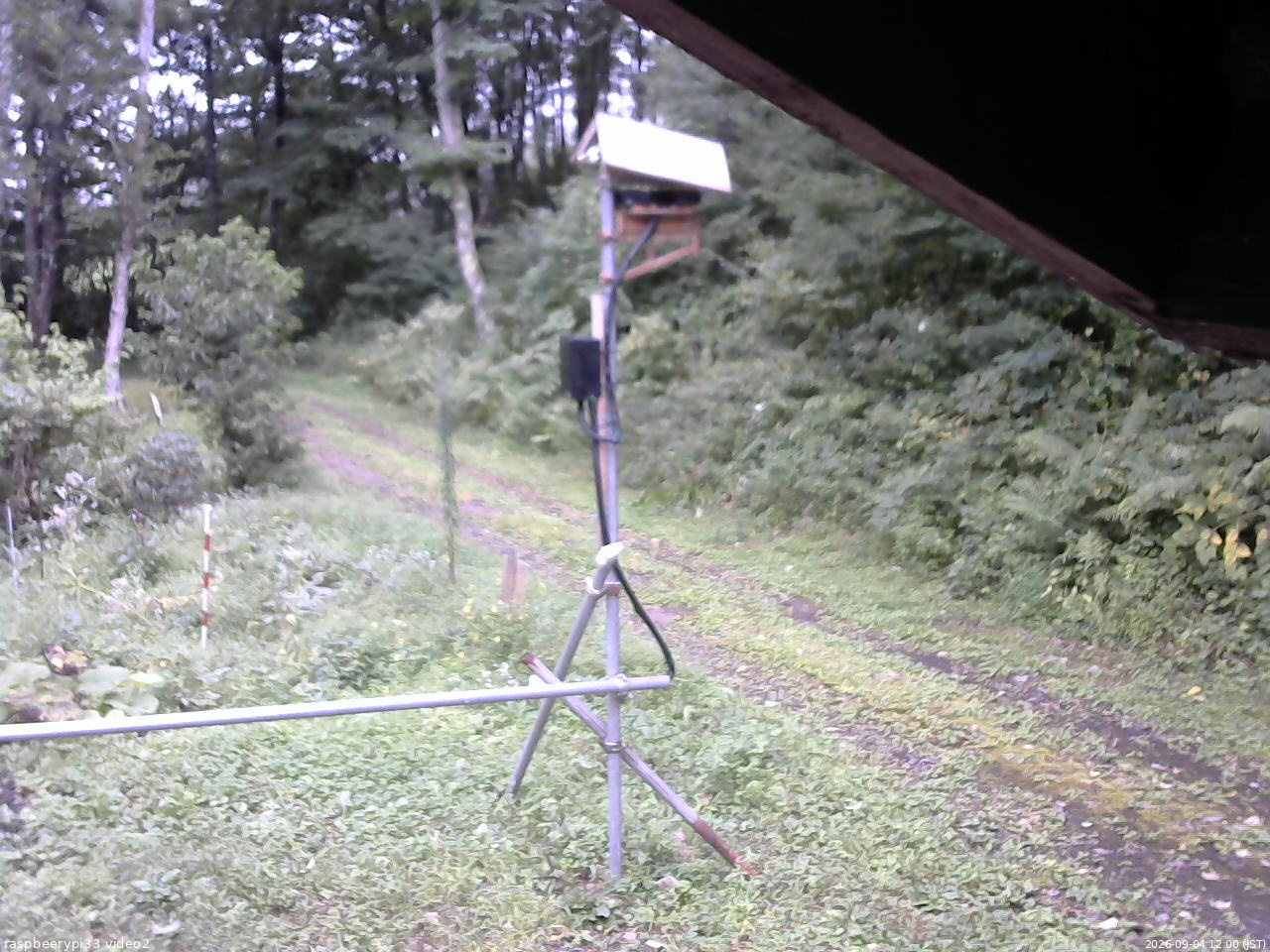 長野県菅平高原 ゆたか山荘 南側 2026/09/04 12:00