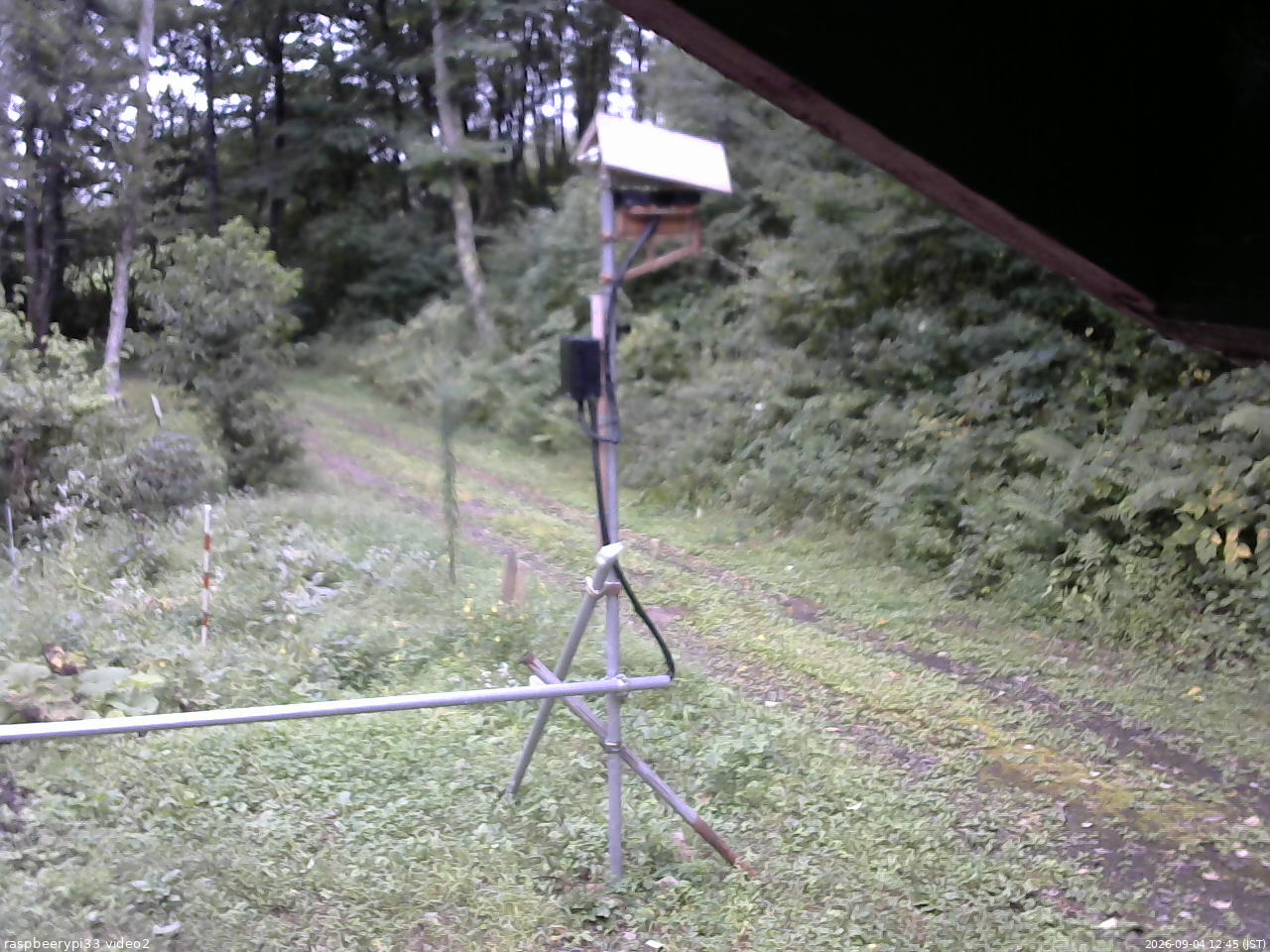 長野県菅平高原 ゆたか山荘 南側 2026/09/04 12:45