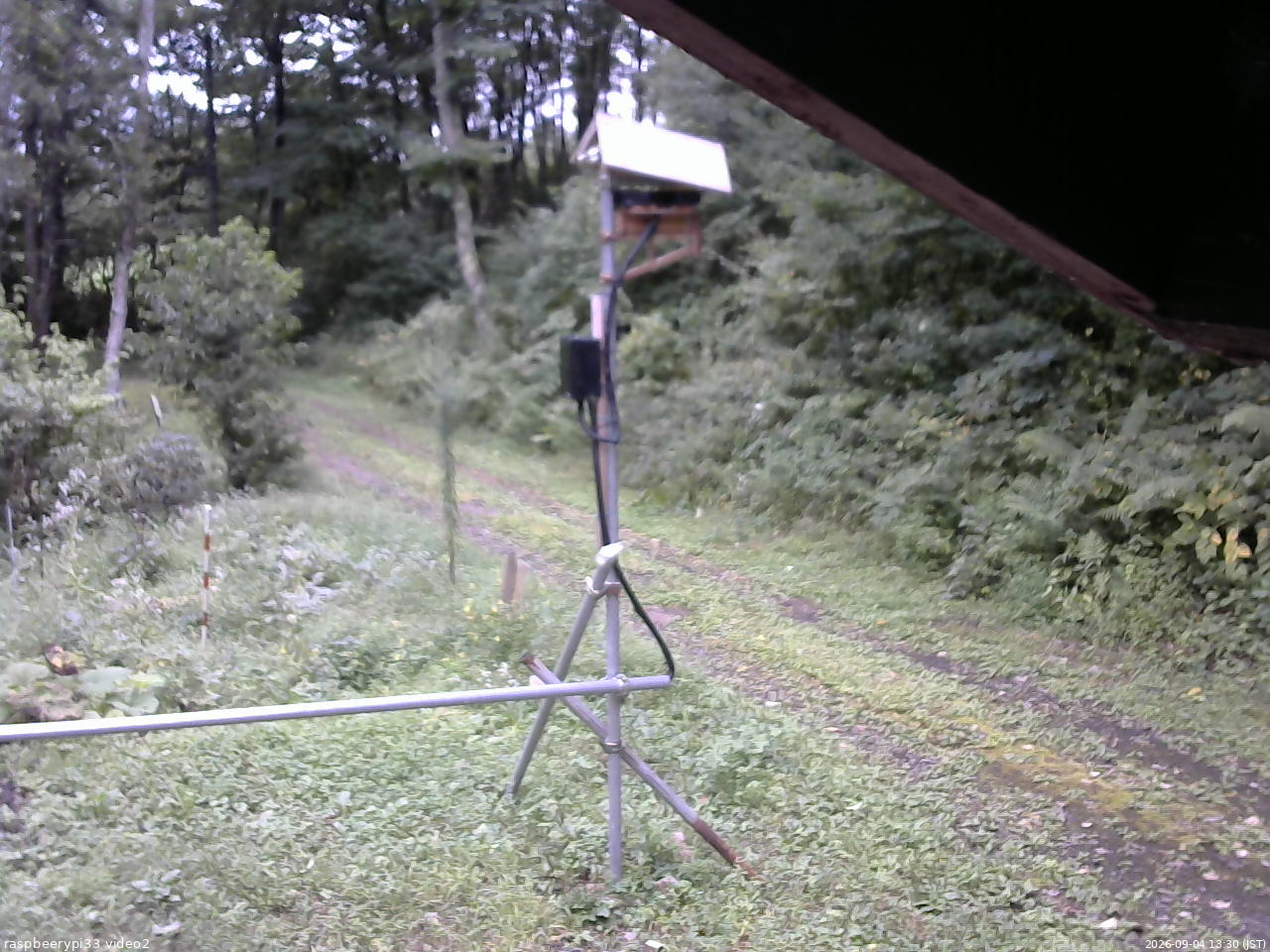 長野県菅平高原 ゆたか山荘 南側 2026/09/04 13:30