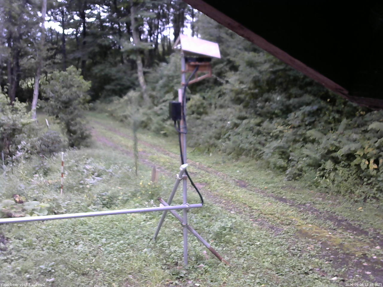 長野県菅平高原 ゆたか山荘 南側 2026/09/04 13:45