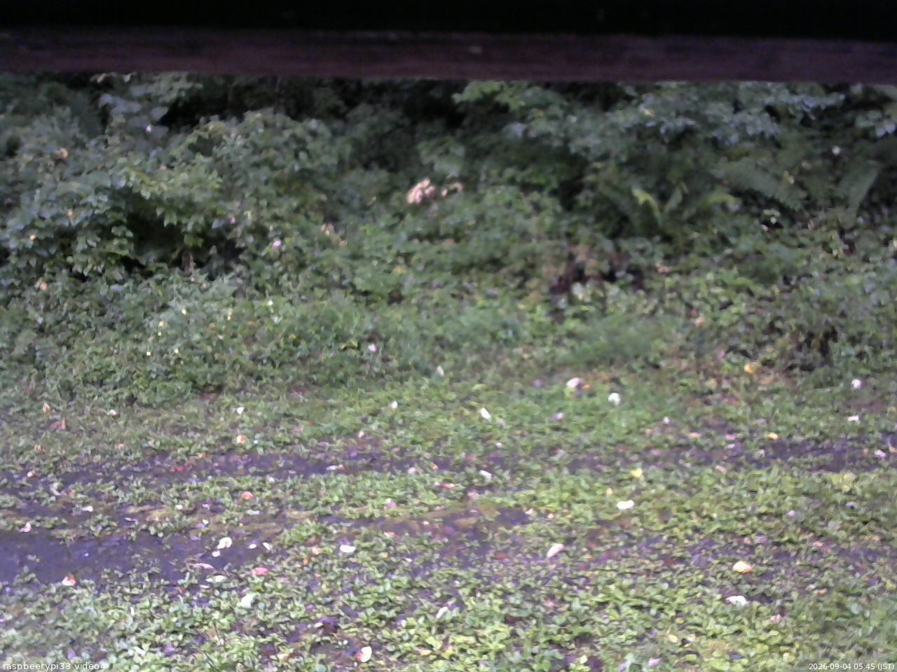 長野県菅平高原 ゆたか山荘 東側(坂下) 2026/09/04 05:45