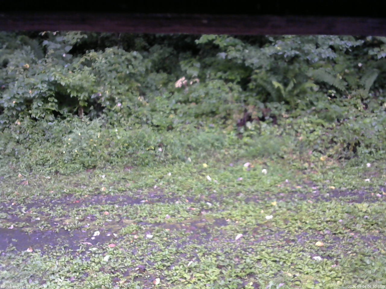 長野県菅平高原 ゆたか山荘 東側(坂下) 2026/09/04 06:30
