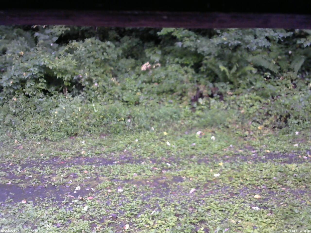 長野県菅平高原 ゆたか山荘 東側(坂下) 2026/09/04 06:45