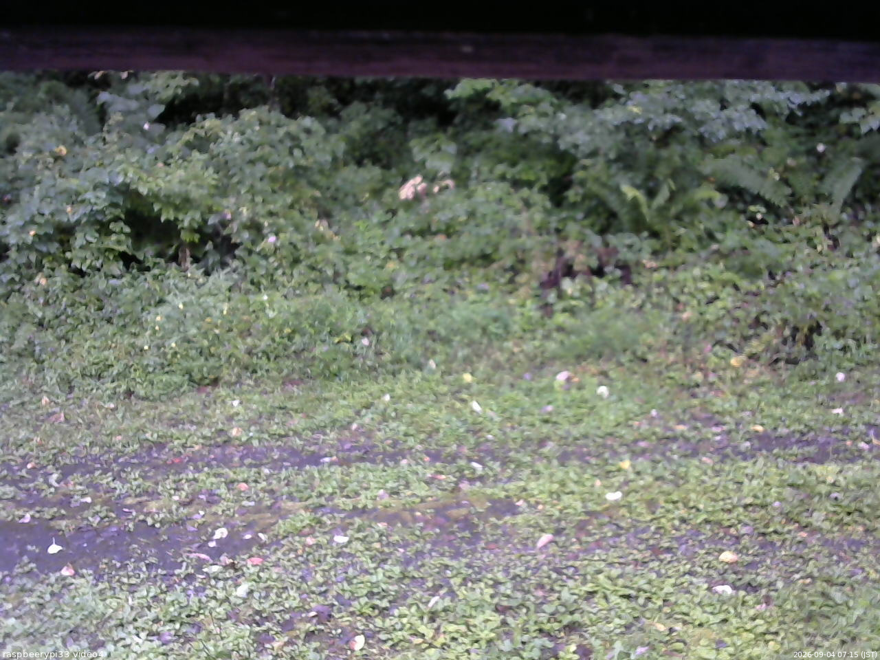 長野県菅平高原 ゆたか山荘 東側(坂下) 2026/09/04 07:15