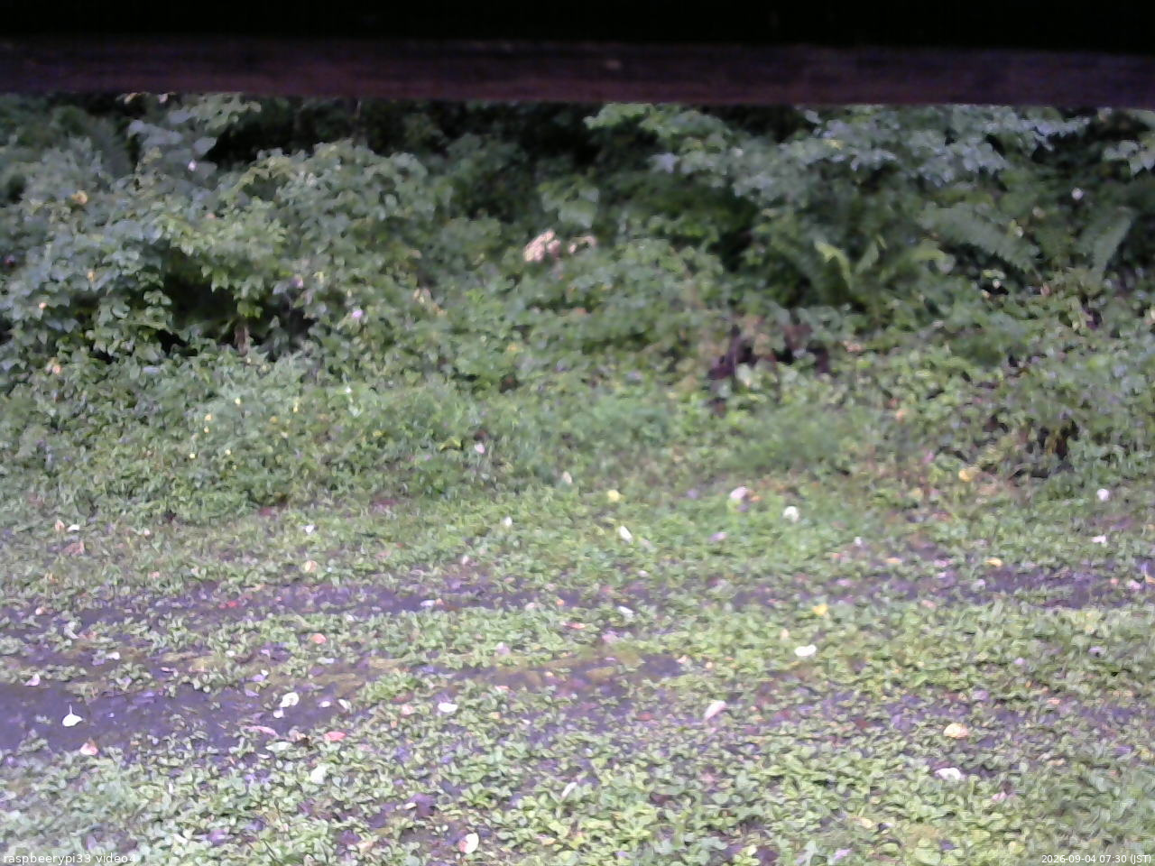 長野県菅平高原 ゆたか山荘 東側(坂下) 2026/09/04 07:30
