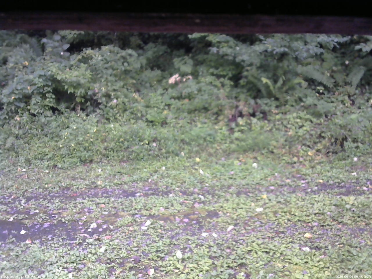 長野県菅平高原 ゆたか山荘 東側(坂下) 2026/09/04 09:45