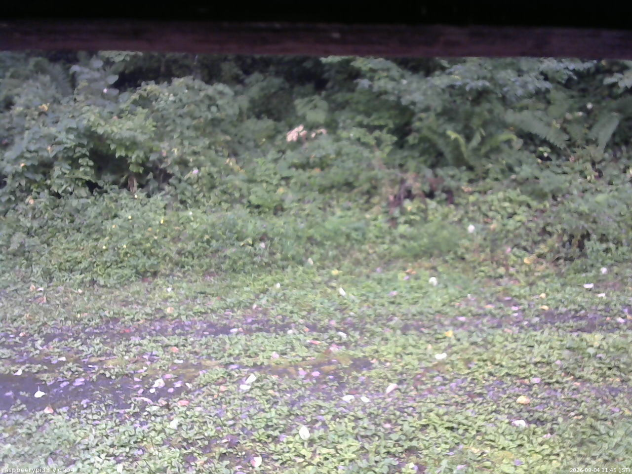 長野県菅平高原 ゆたか山荘 東側(坂下) 2026/09/04 11:45