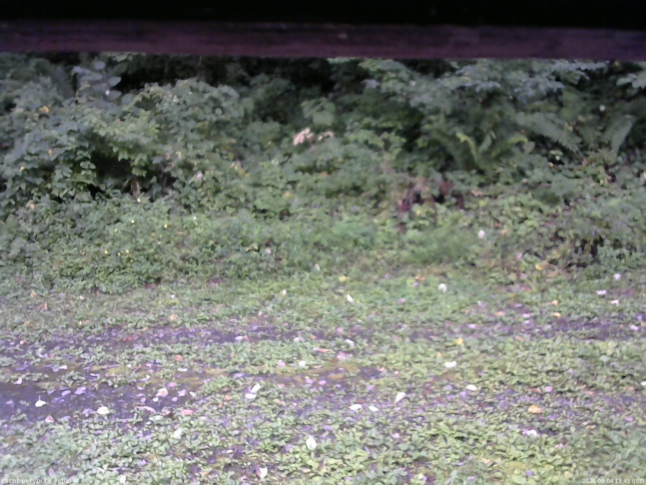 長野県菅平高原 ゆたか山荘 東側(坂下) 2026/09/04 13:45