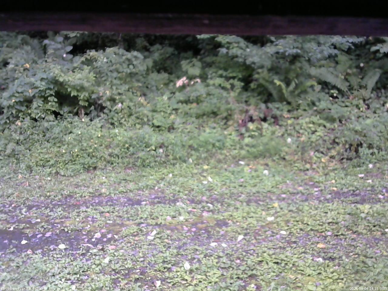 長野県菅平高原 ゆたか山荘 東側(坂下) 2026/09/04 14:15