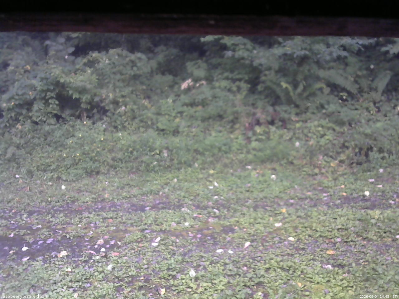 長野県菅平高原 ゆたか山荘 東側(坂下) 2026/09/04 14:45