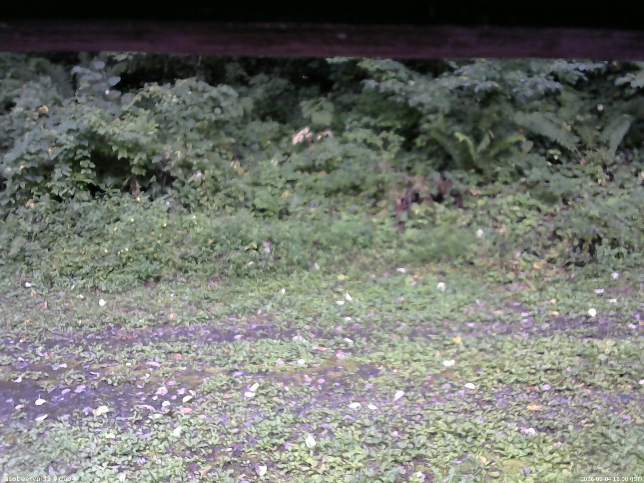 長野県菅平高原 ゆたか山荘 東側(坂下) 2026/09/04 16:00