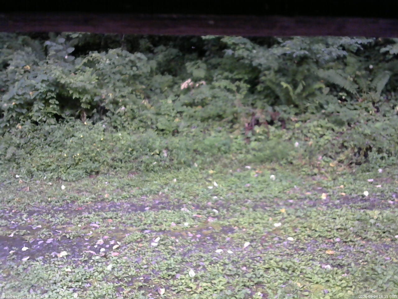 長野県菅平高原 ゆたか山荘 東側(坂下) 2026/09/04 16:15