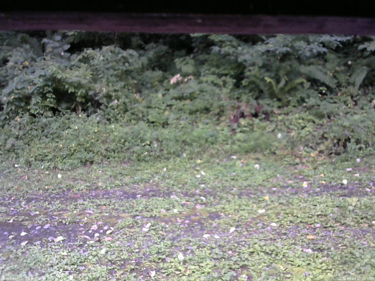 長野県菅平高原 ゆたか山荘 東側(坂下) 2026/09/04 17:00