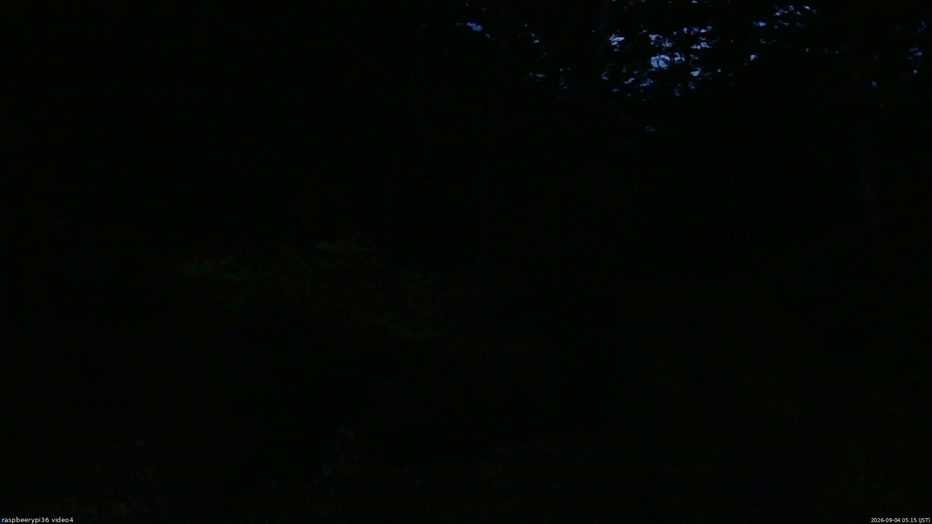 長野県菅平高原 ゆたか山荘 坂上 2026/09/04 05:15