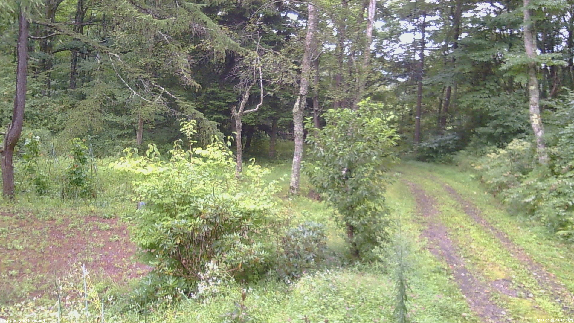 長野県菅平高原 ゆたか山荘 坂上 2026/09/04 06:30
