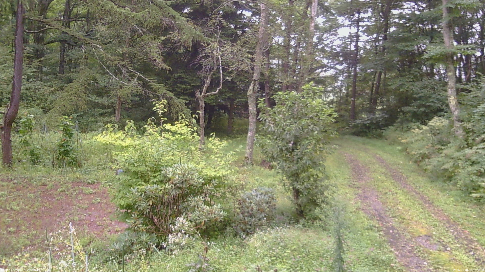 長野県菅平高原 ゆたか山荘 坂上 2026/09/04 11:00