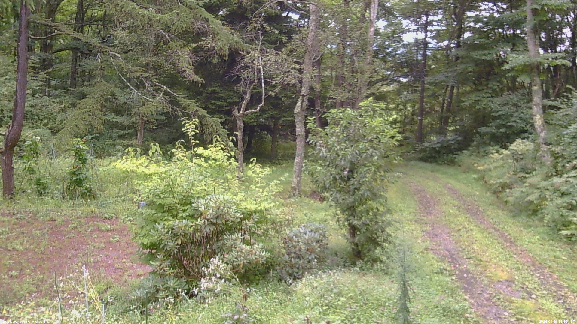 長野県菅平高原 ゆたか山荘 坂上 2026/09/04 11:30