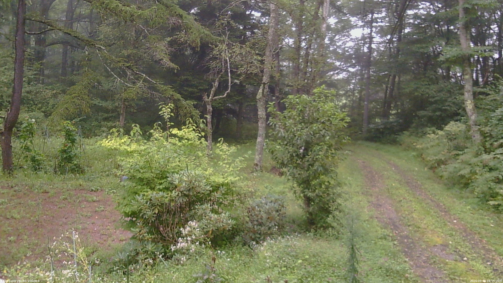 長野県菅平高原 ゆたか山荘 坂上 2026/09/04 15:15