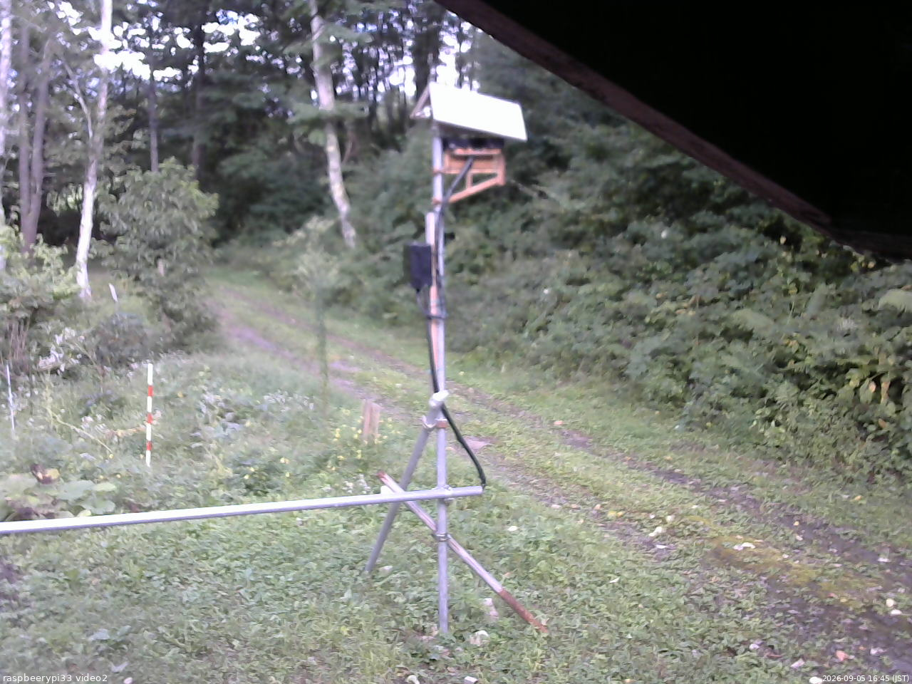 長野県菅平高原 ゆたか山荘 南側 2026/09/05 16:45